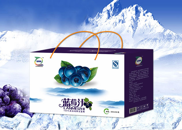 招商支持